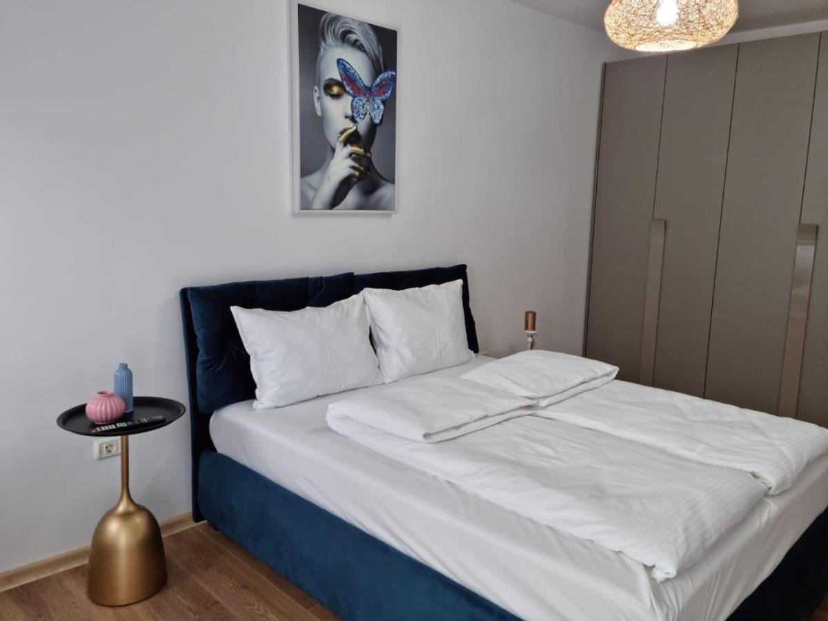 Sasu Apartment Timisoara Exterior foto