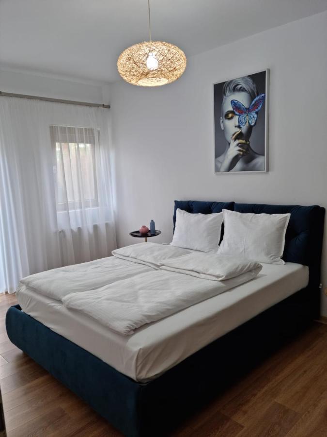 Sasu Apartment Timisoara Exterior foto