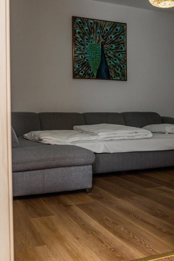 Sasu Apartment Timisoara Exterior foto